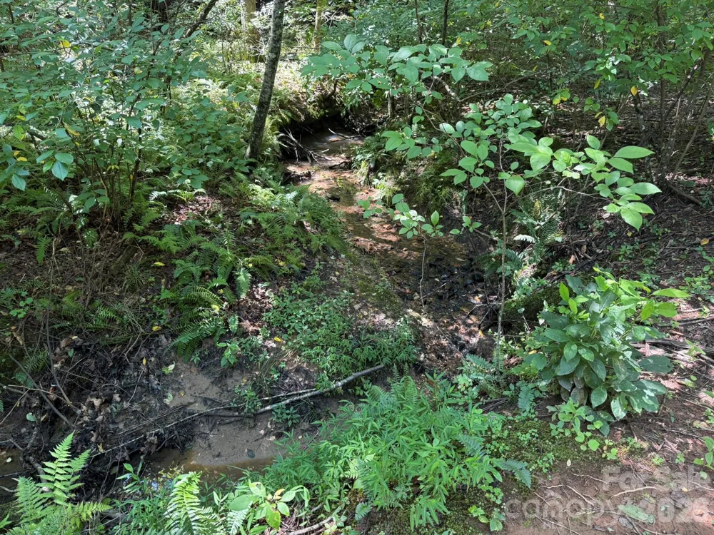 V/L Forest Country Drive #34 Marion, NC 28752
