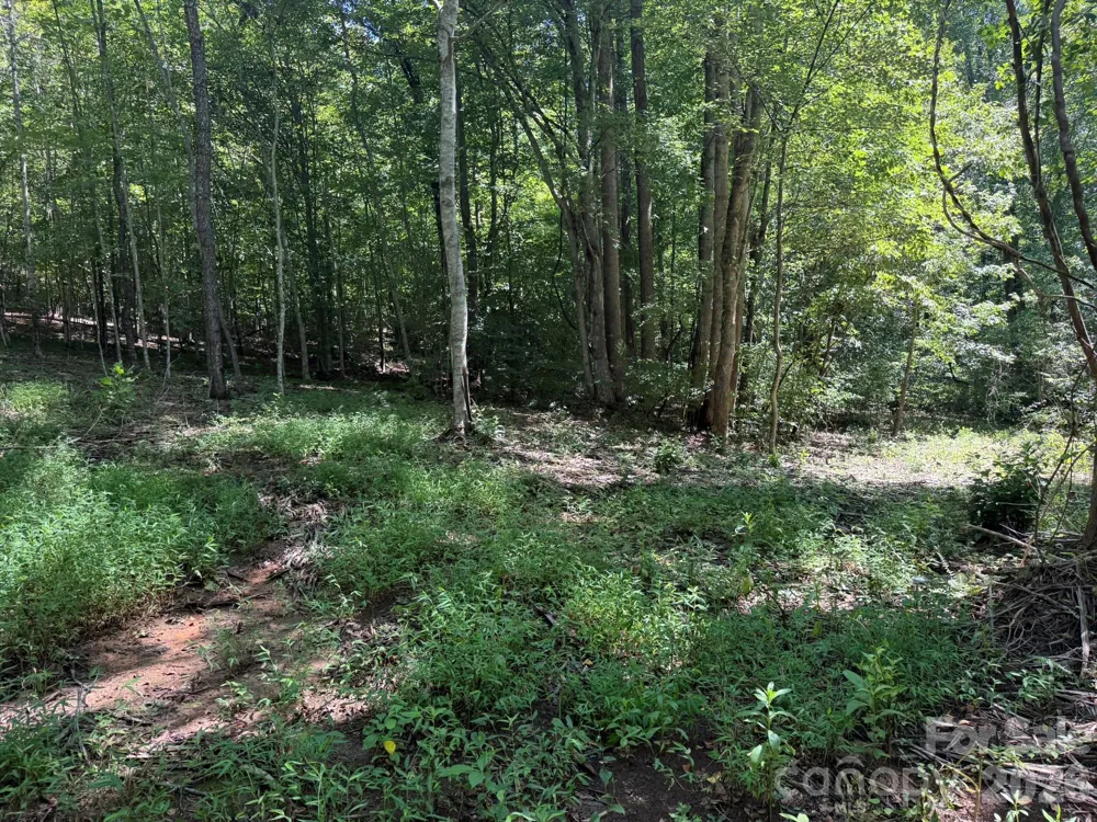 V/L Forest Country Drive #34 Marion, NC 28752
