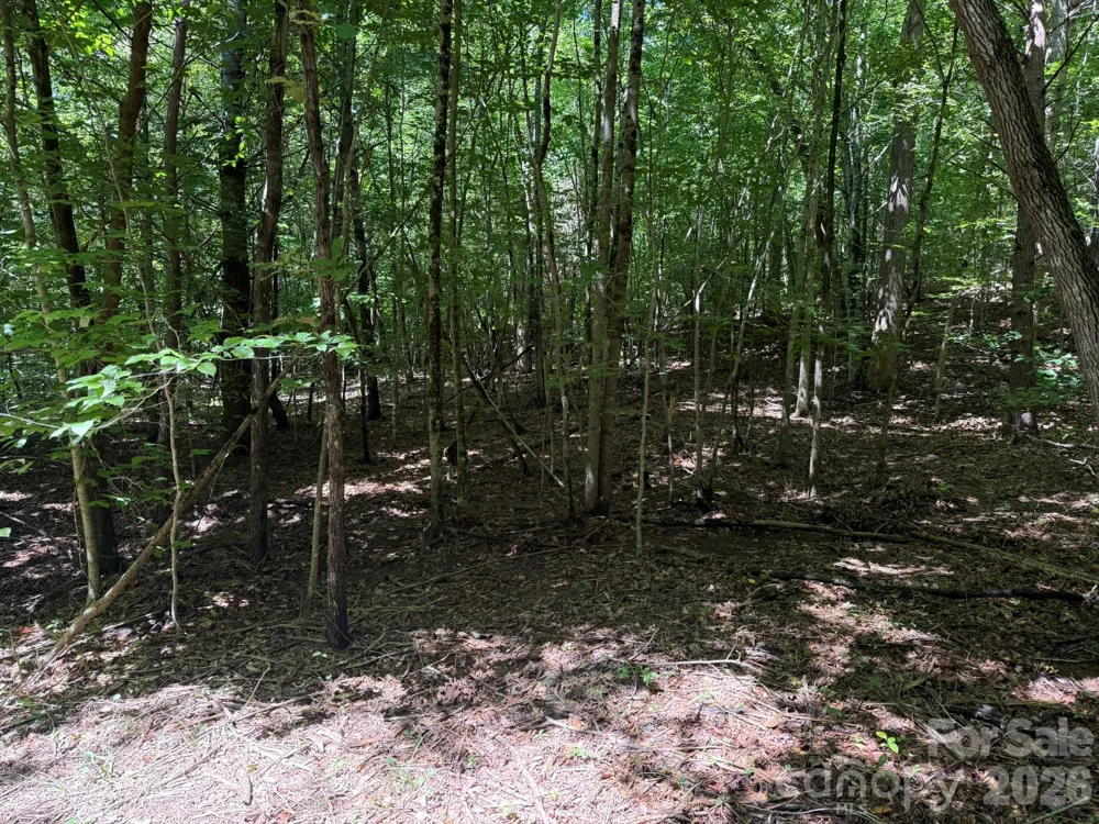 V/L Forest Country Drive #34 Marion, NC 28752
