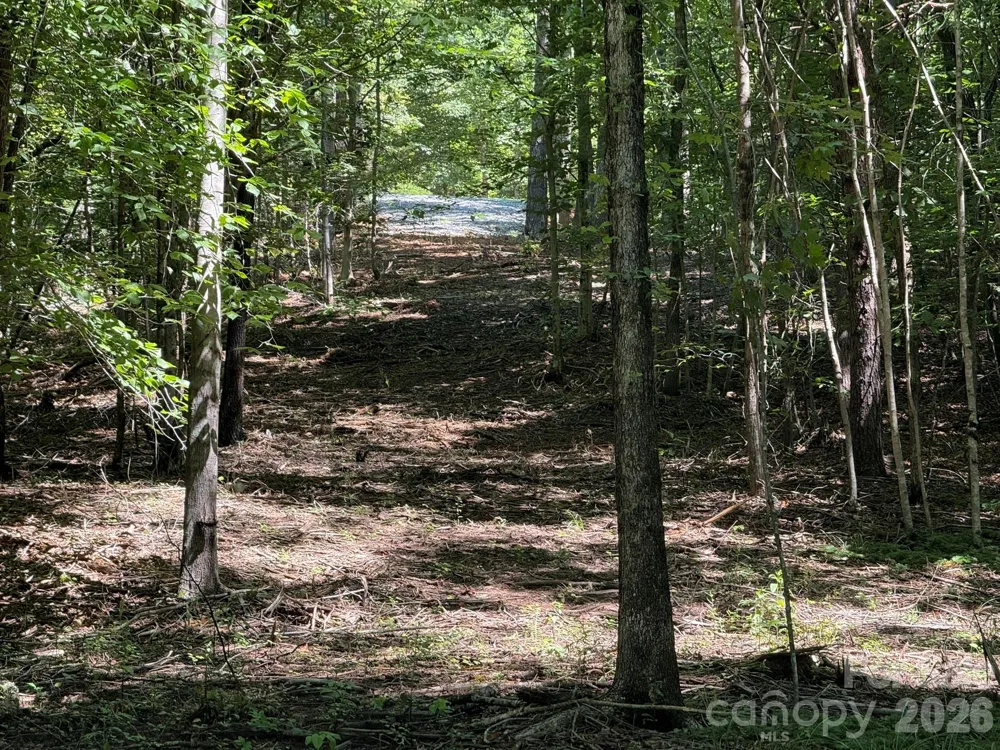 V/L Forest Country Drive #34 Marion, NC 28752