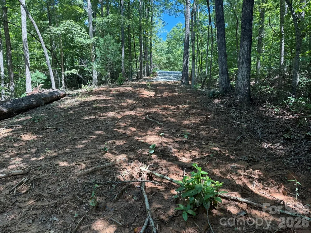 V/L Forest Country Drive #34 Marion, NC 28752