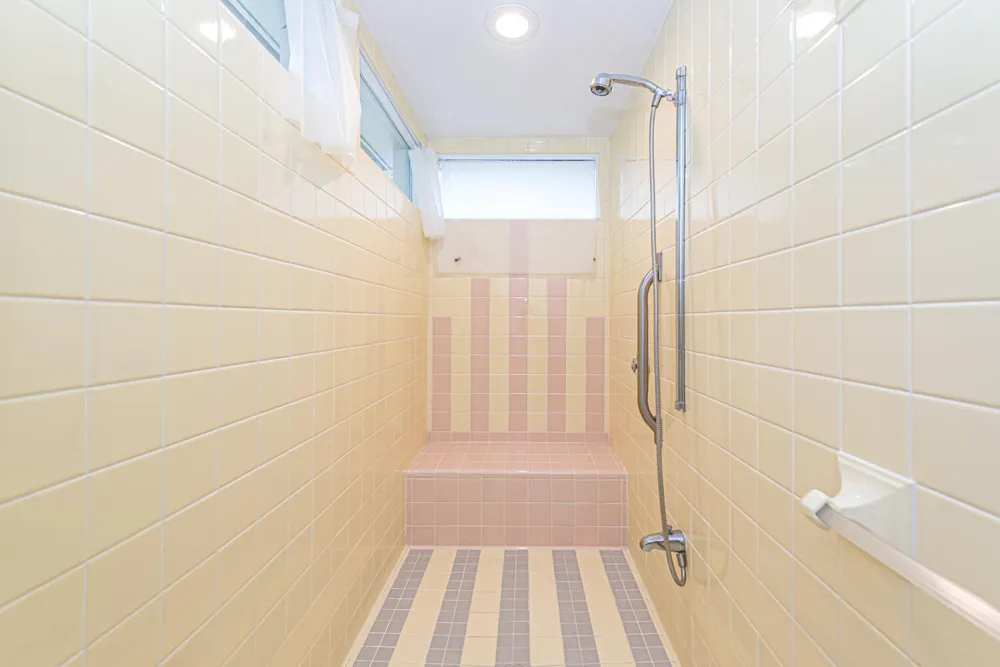 916 Olivia Avenue Ann Arbor, MI 48104