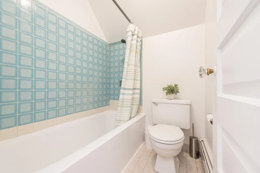 916 Olivia Avenue Ann Arbor, MI 48104