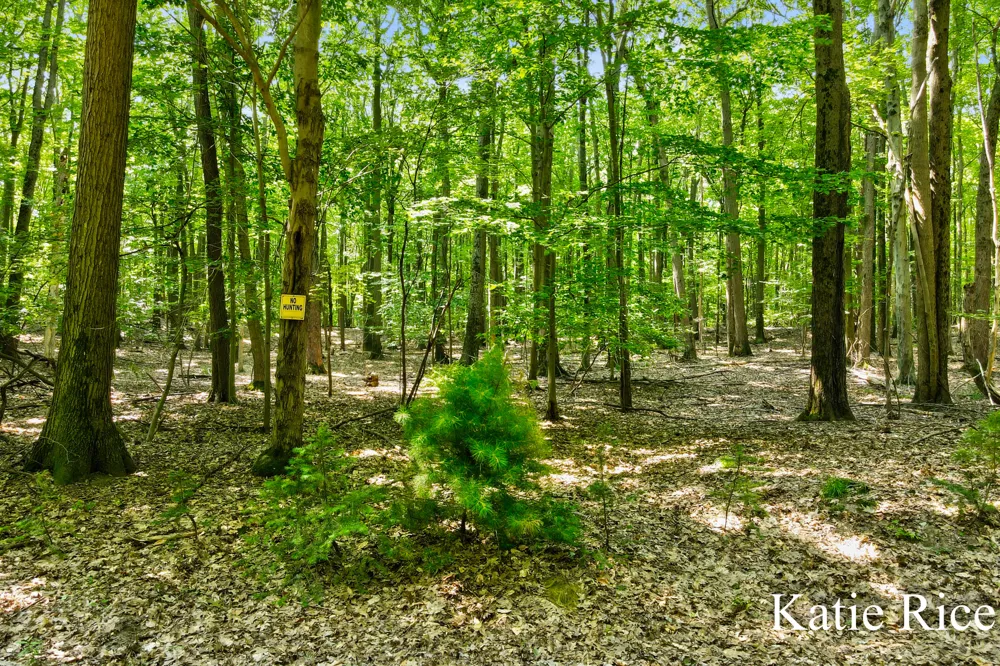 2030 Scenic Drive Muskegon, MI 49445