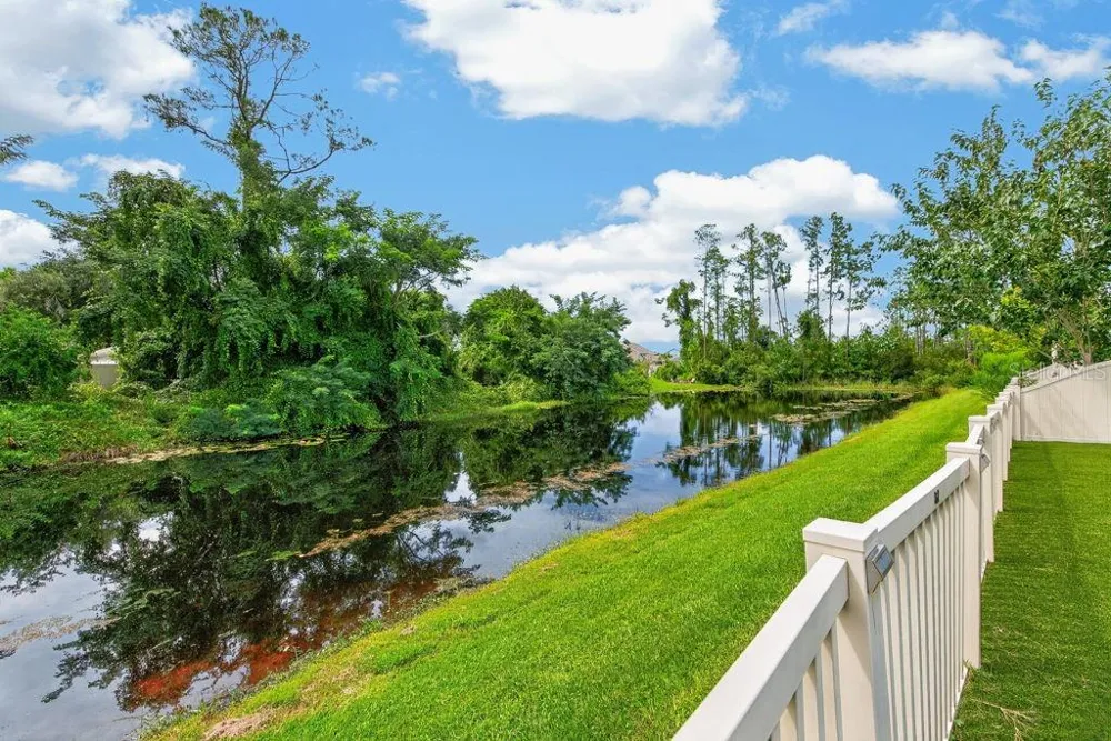 22310 WOODMEN HALL DRIVE Land O Lakes, FL 34637