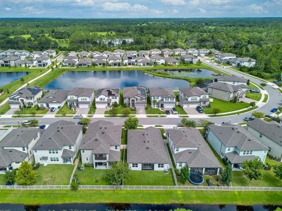 22310 WOODMEN HALL DRIVE Land O Lakes, FL 34637