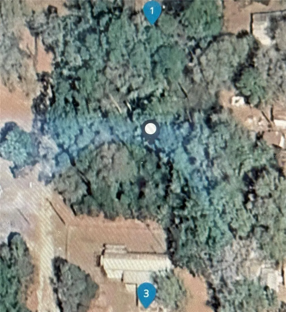 NE 117TH AVENUE Silver Springs, FL 34488