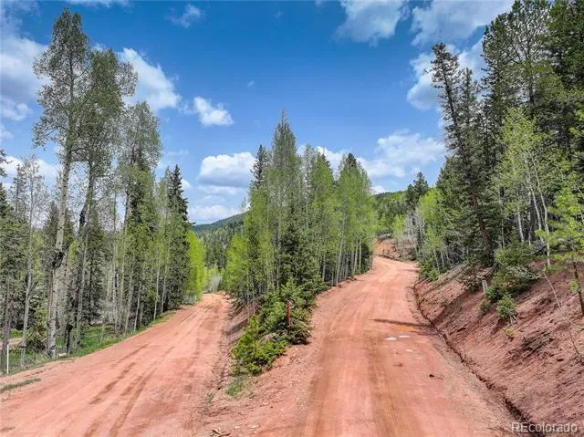 416 Willow Road Divide, CO 80814