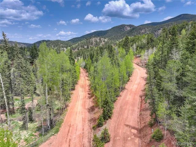 416 Willow Road Divide, CO 80814