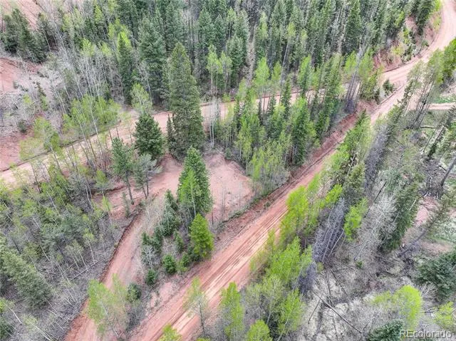 416 Willow Road Divide, CO 80814