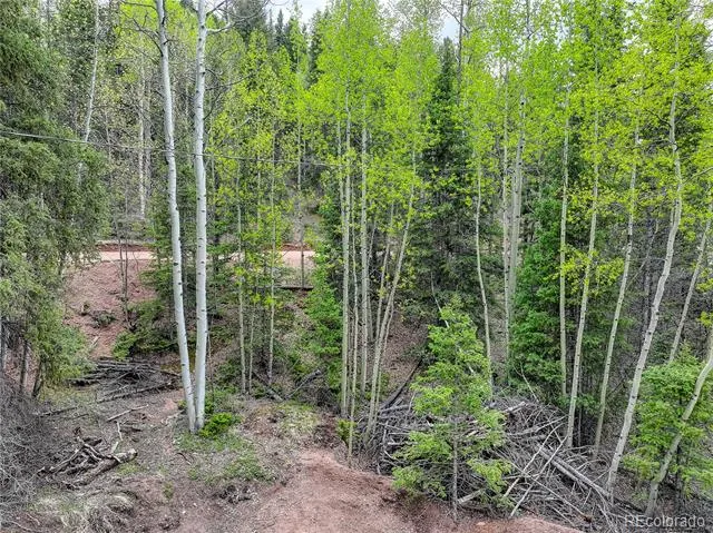 416 Willow Road Divide, CO 80814