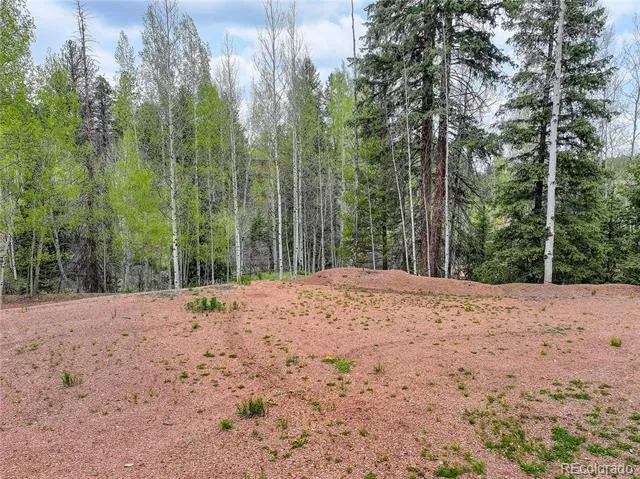 416 Willow Road Divide, CO 80814