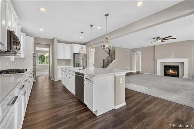 17886 E Emilia Drive Parker, CO 80134