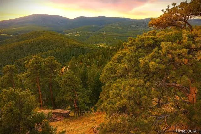 32553 Lodgepole Circle Evergreen, CO 80439
