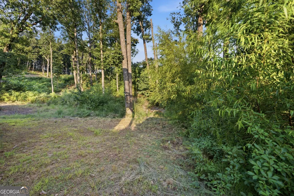 782 High Summit DR Talking Rock, GA 30175
