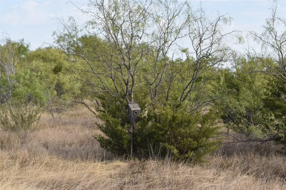 W Us Highway 190 Lometa, TX 76853