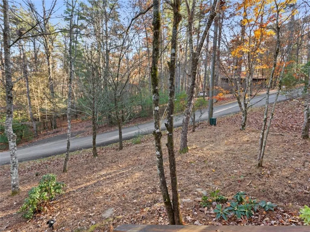 166 Quail Point Sautee Nacoochee, GA 30571