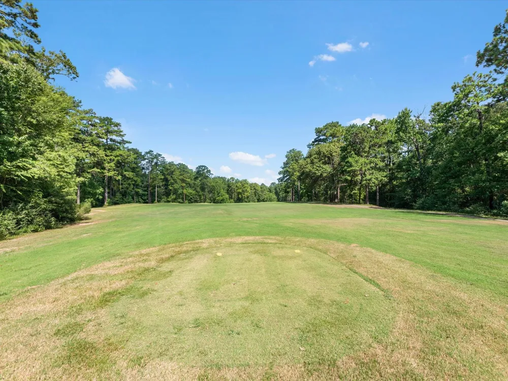 155 Victoria Drive Brookeland, TX 75931