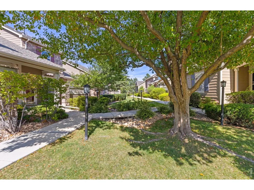 6296 Terry Street Arvada, CO 80403