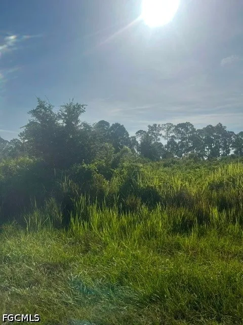 Anaconda Avenue S