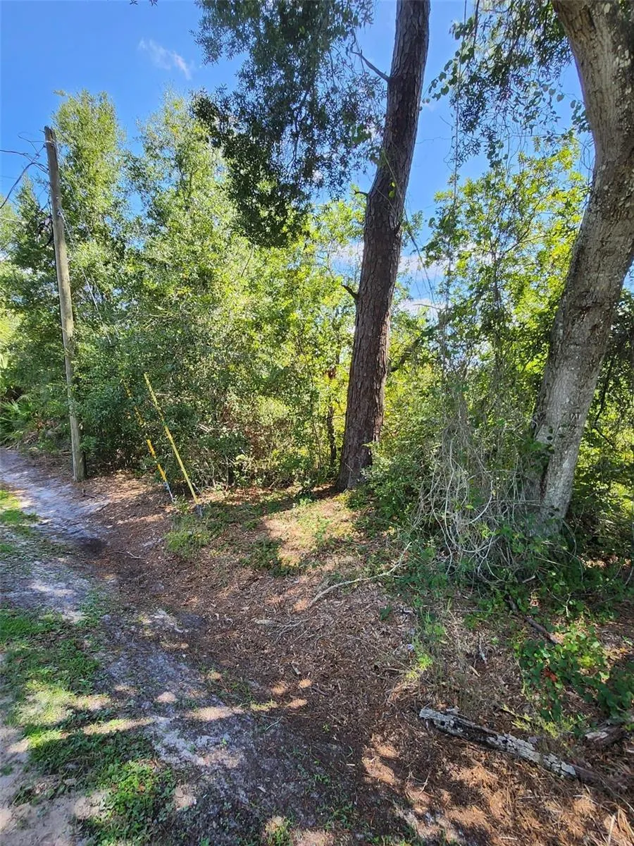 6TH AVENUE Deland, FL 32724