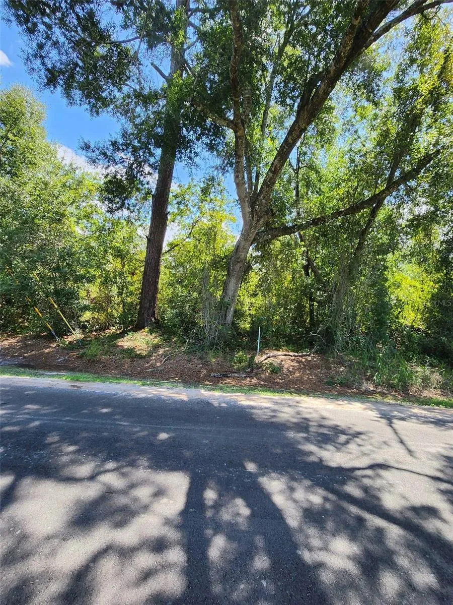 6TH AVENUE Deland, FL 32724