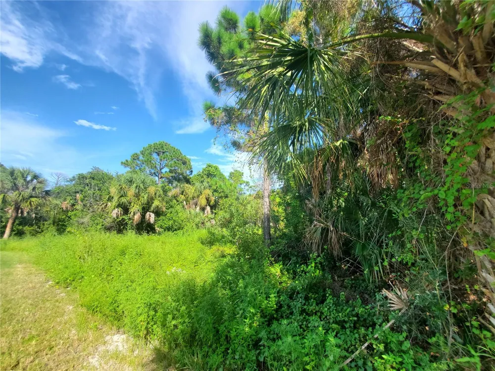 395 RAMBLEWOOD STREET Port Charlotte, FL 33953