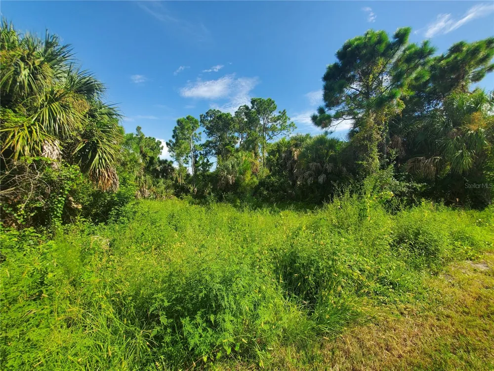 395 RAMBLEWOOD STREET Port Charlotte, FL 33953