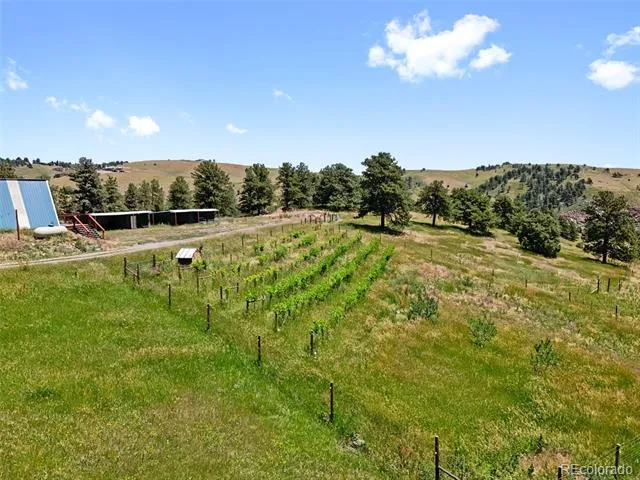 1044 S Grapevine Road Golden, CO 80401