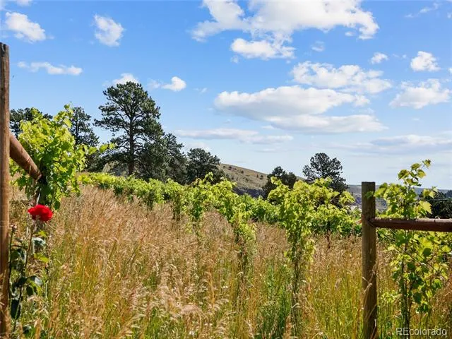 1044 S Grapevine Road Golden, CO 80401