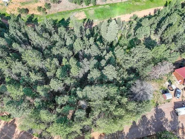 490 Willow Road Divide, CO 80814