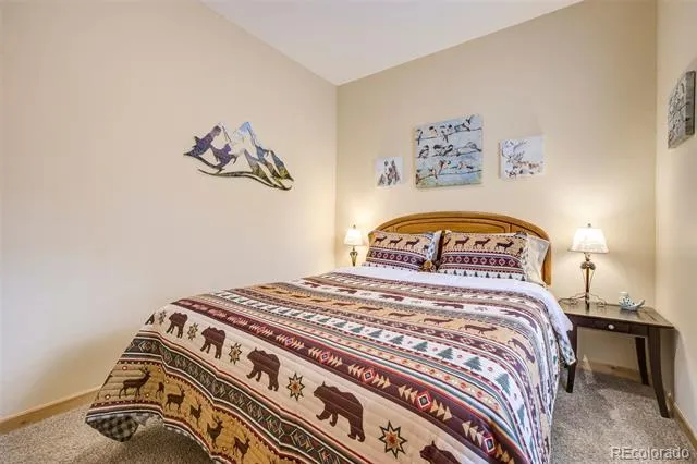 858 Fossil Creek Road Florissant, CO 80816