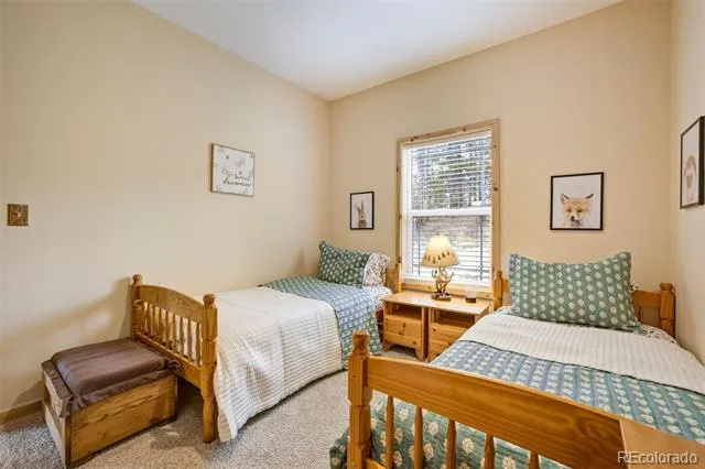 858 Fossil Creek Road Florissant, CO 80816