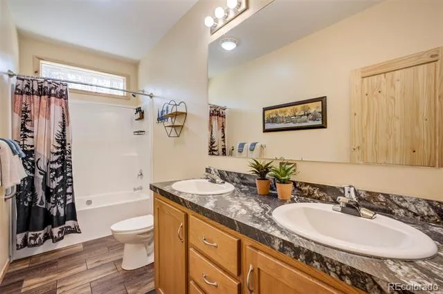 858 Fossil Creek Road Florissant, CO 80816