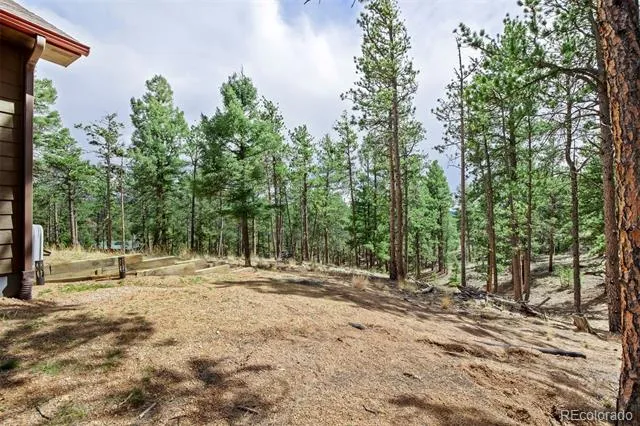 858 Fossil Creek Road Florissant, CO 80816