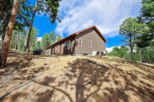 858 Fossil Creek Road Florissant, CO 80816
