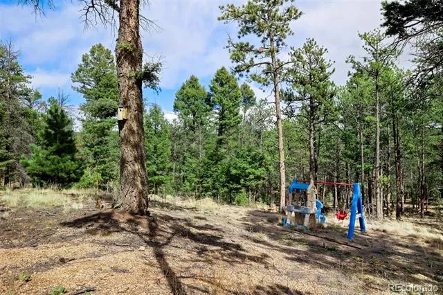 858 Fossil Creek Road Florissant, CO 80816