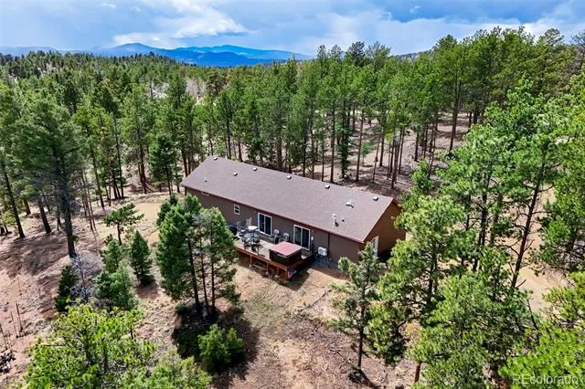 858 Fossil Creek Road Florissant, CO 80816