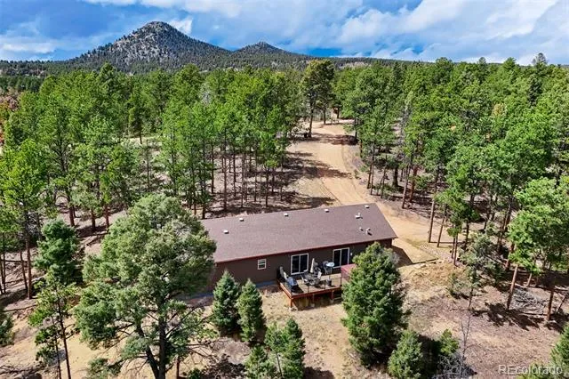 858 Fossil Creek Road Florissant, CO 80816