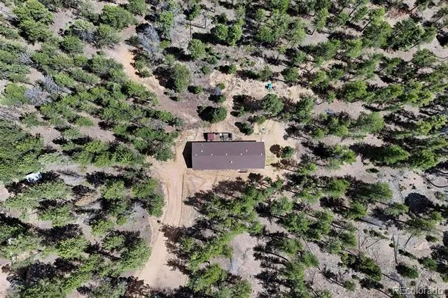 858 Fossil Creek Road Florissant, CO 80816