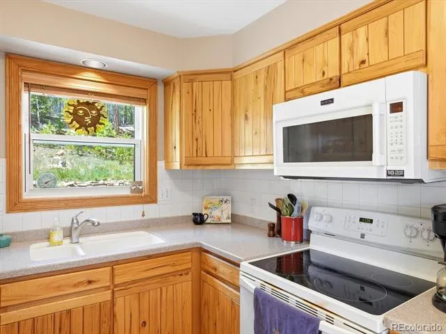 32627 Lila Drive Conifer, CO 80433
