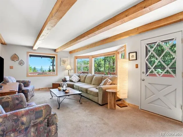 32627 Lila Drive Conifer, CO 80433