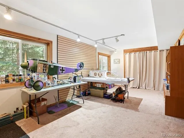 32627 Lila Drive Conifer, CO 80433