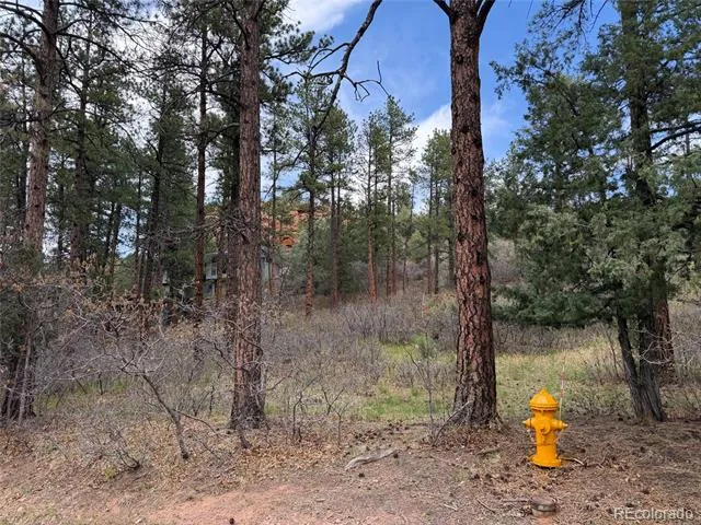 4885 Red Rock Drive Larkspur, CO 80118