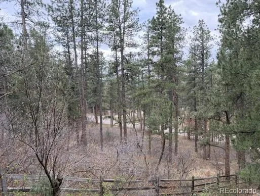 4885 Red Rock Drive Larkspur, CO 80118