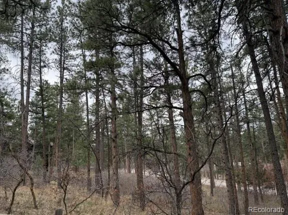 4885 Red Rock Drive Larkspur, CO 80118