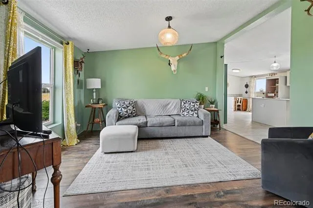 1350 Antelope Drive Calhan, CO 80808