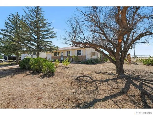 201 E Shafer Avenue Pierce, CO 80650