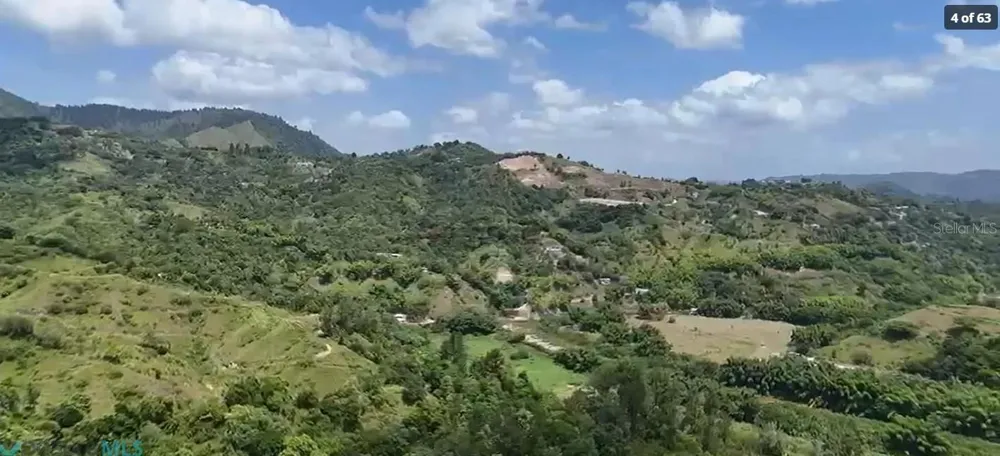 5 CALLE JUAN DE JESUS CARRT 140 KM 5 Jayuya, PR 00664