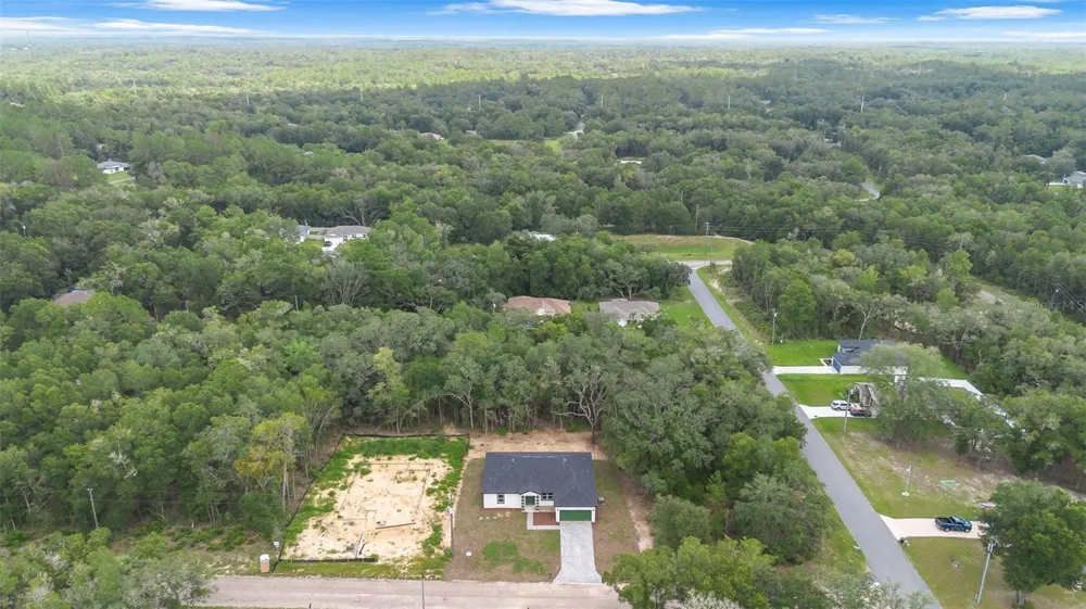 10615 DIDISCUS DRIVE Citrus Springs, FL 34434